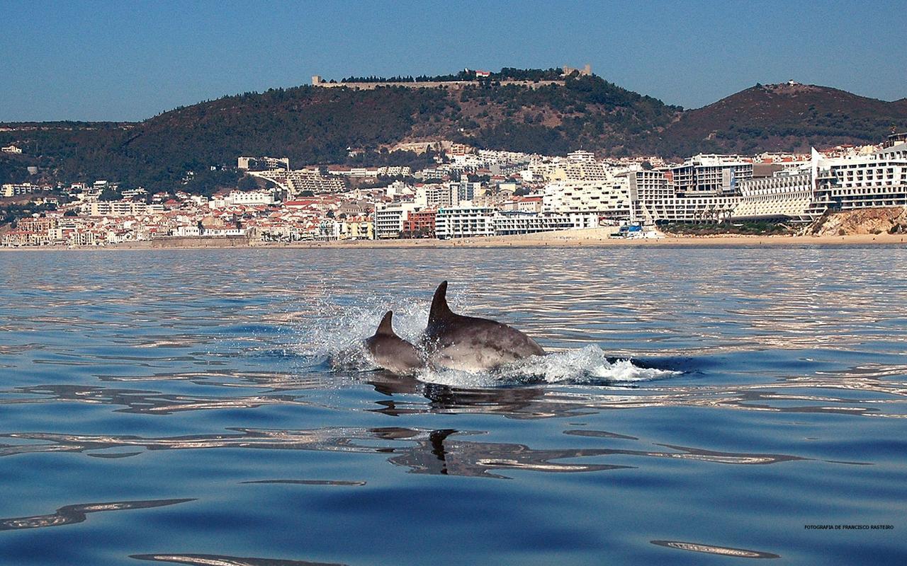 Vila De Sol Sesimbra Luaran gambar